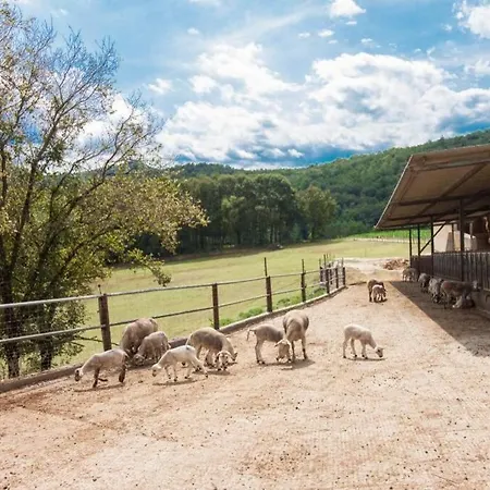 La Cabanya Planella Holiday home La Vall de Bianya